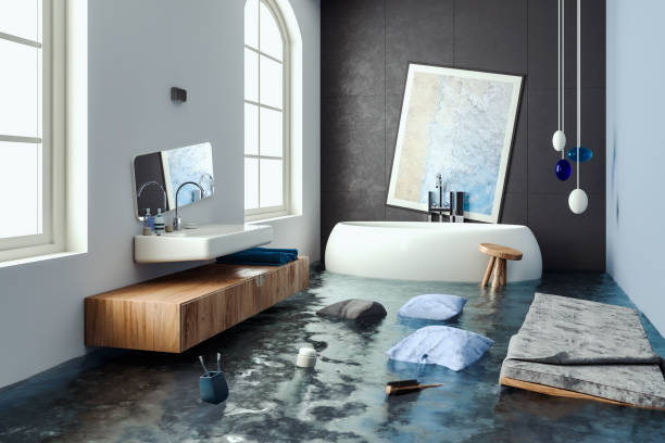 Best Mold removal after water damage  in Palm Bay, FL