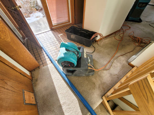 Trusted Palm Bay, FL Water damage restoration Experts