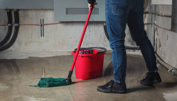 Water damage restoration experts in Palm Bay, FL