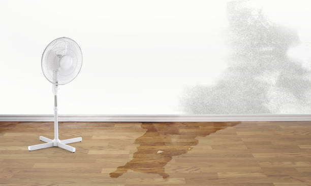Carpet water damage restoration in Palm Bay, FL
