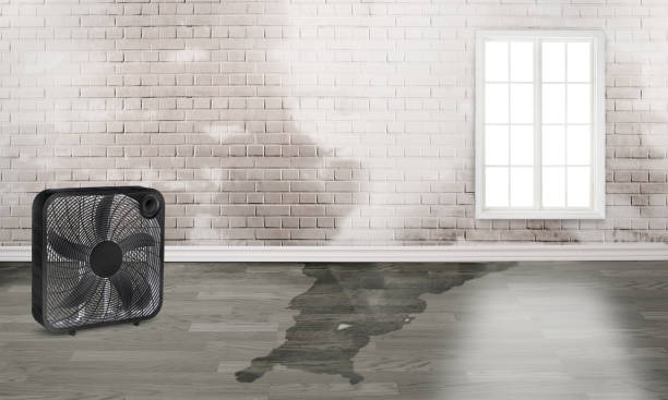 Fire Damage Restoration in Palm Bay, FL
