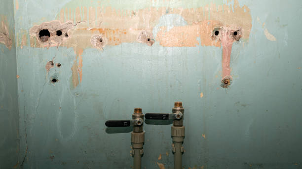 Water damage restoration mold remediation in Palm Bay, FL