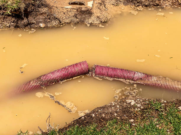 Best Basement water damage restoration  in Palm Bay, FL